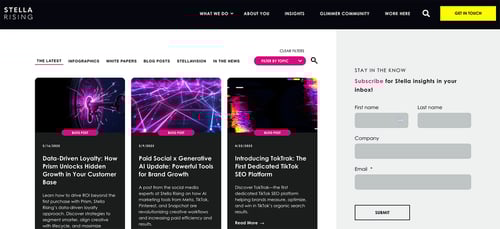 Elevating Stella Rising: Tailored Marketplace Theme & Resource Center